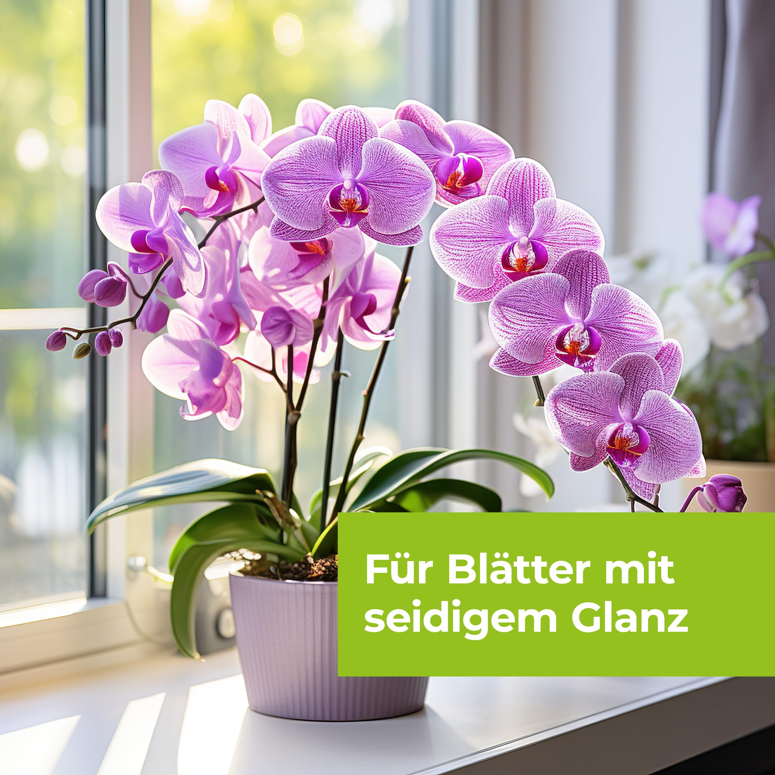 PROTECT GARDEN Lizetan Orchideen-Spray AF, gegen hartnäckige Schädlinge wie Blattläuse, Wollläuse, Schildläuse, Spinnmilben an Orchideen, 500 ml Sprühflasche