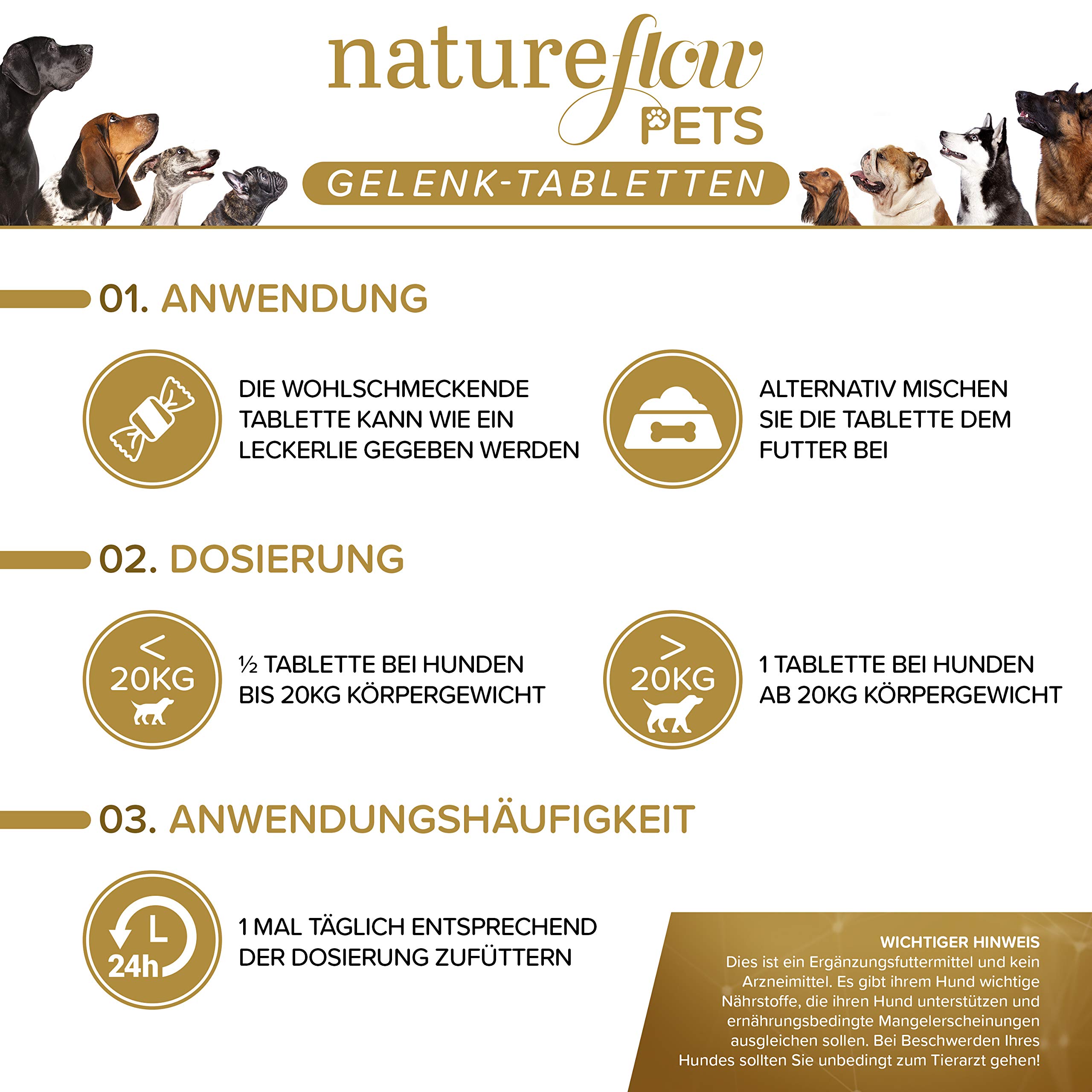 Gelenktabletten Hunde – Test SEHR GUT Made in Germany mit Grünlippmuschel, MSM und Teufelskralle - Keine Kapseln, hohe Akzeptanz Gelenktabletten Hund - 100 Stück