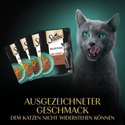 Sheba Katzennassfutter Selection in Sauce, 72 Portionsbeutel, 72x85g (1 Großpackung) – Katzenfutter nass, Geflügel Variation mit Ente, Huhn, Geflügel und Truthahn